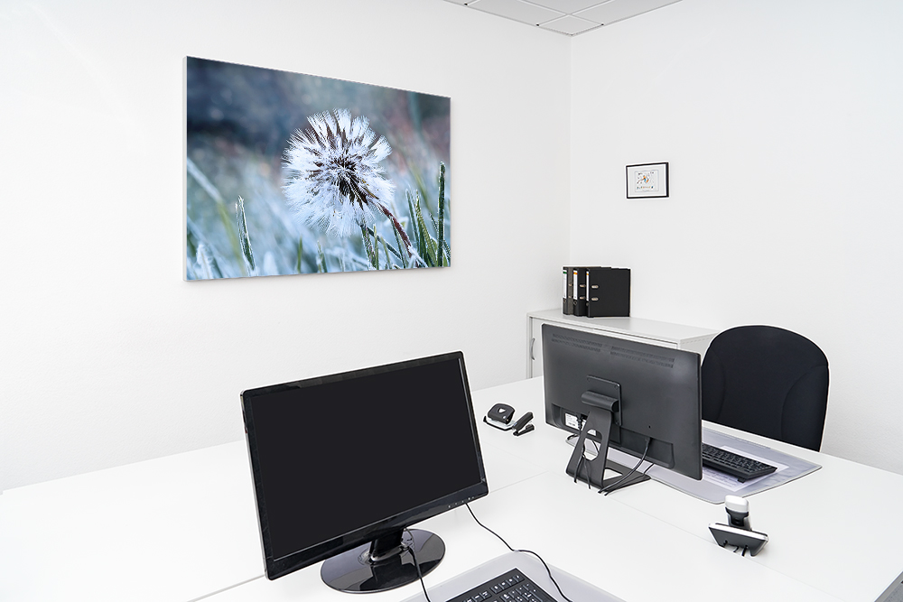 Artikelbild Absorberbild - Löwenzahn im Frost 50x50x5,5cm