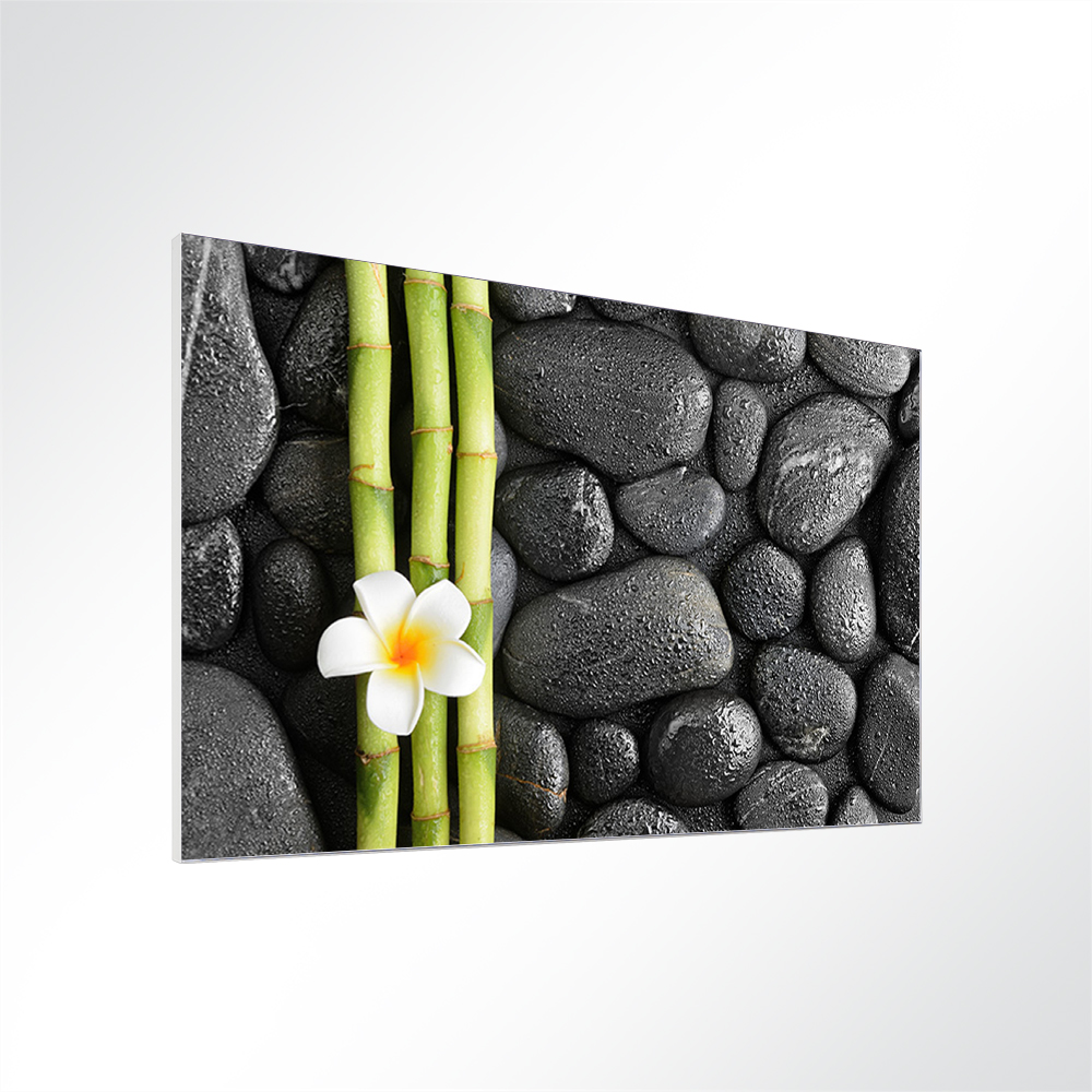 Artikelbild Absorberbild - Weiße Frangipani Blüte 50x50x5,5cm