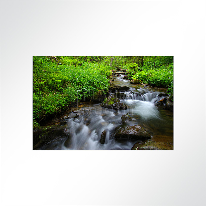 Akustikbild Wald - Alles fließt!