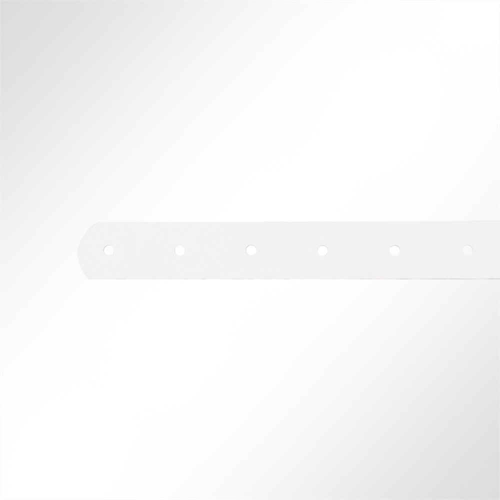 Artikelbild Strippe für Schnallriemen an Planen Anhänger, Länge 600mm, Weiß