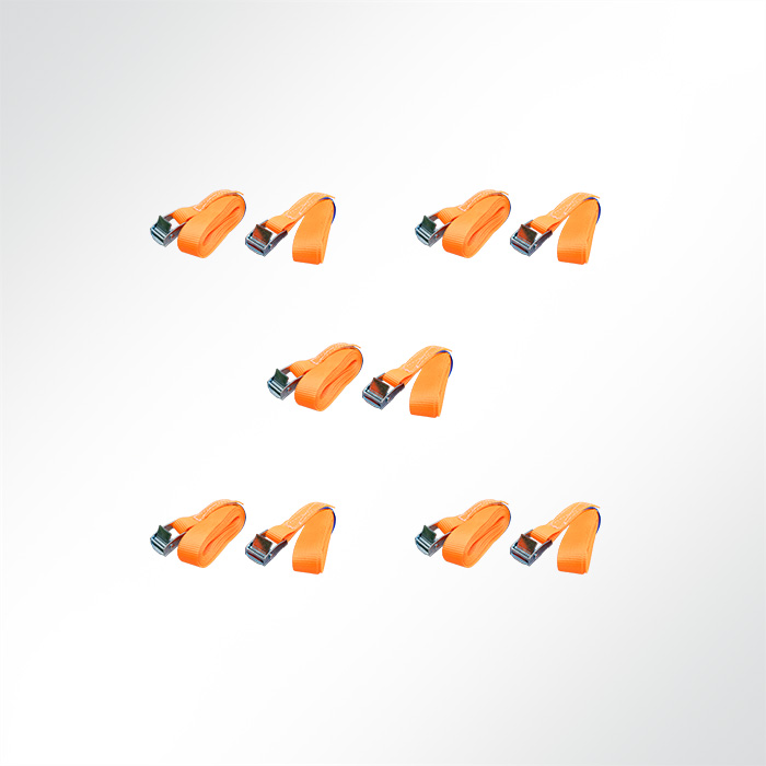 Zurrgurte im Set 2,5m lang 25mm breit Spanngurt Gurt Fixiergurt